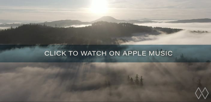 rt-video